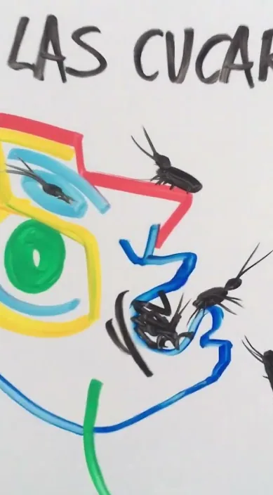 Si me das a elegir – street art in Barcelona: scene from the Art Is Trash video by Francisco de Pájaro